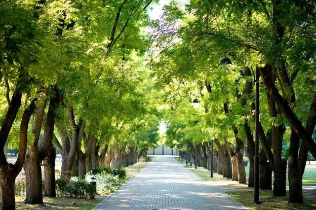 Гостиница Zion Краснодар-177